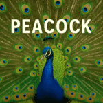 Unlocking Peacock's Full Potential: The Role of Proxies