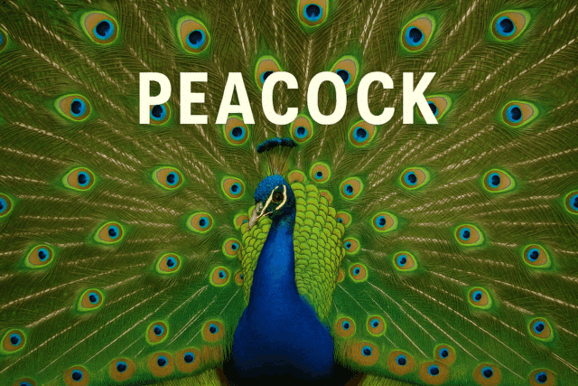 Unlocking Peacock’s Full Potential: The Role of Proxies